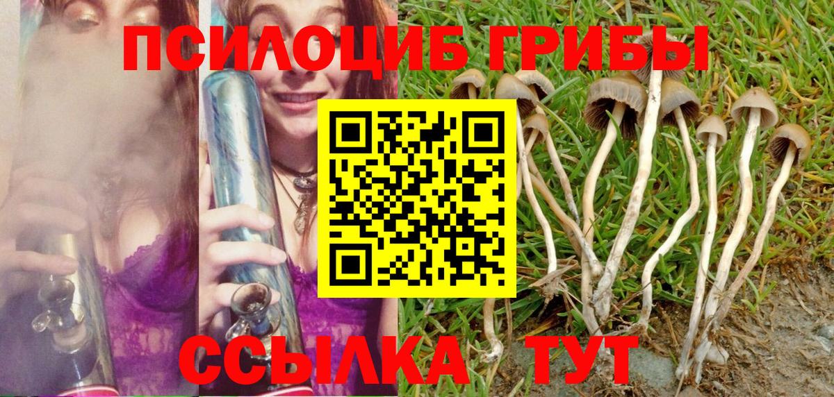 Галлюциногенные грибы MAGIC MUSHROOMS  где найти   Псилоцибиновые грибы Psilocybine cubensis  Ивантеевка  Вход с VPN 